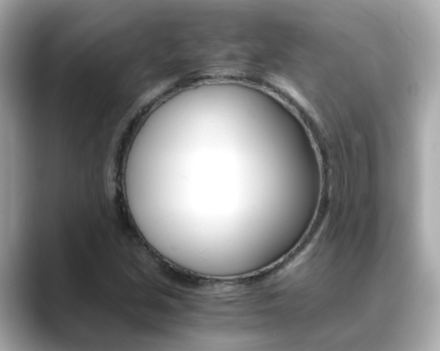 X0000089691213200706210827