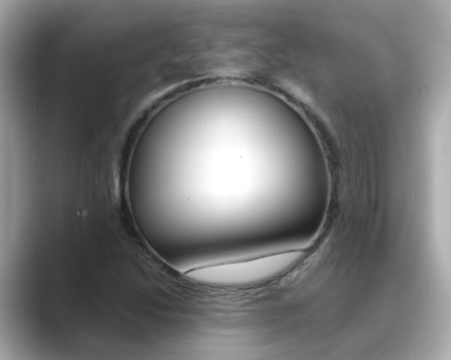 X0000089691214200706210827