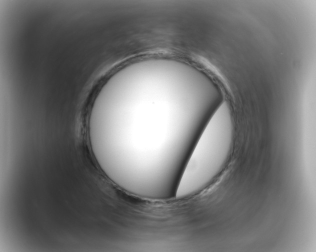 X0000089691215200706210827