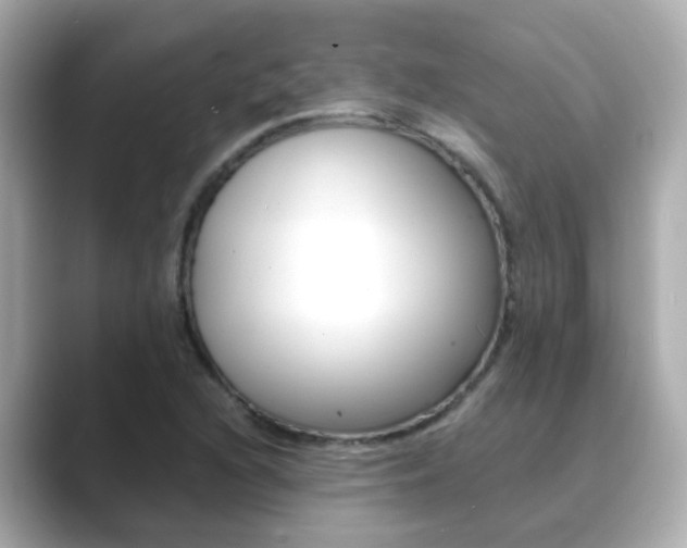 X0000089691216200706210827