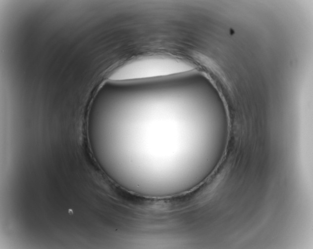 X0000089691217200706210827