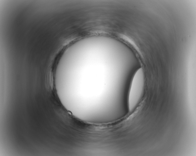 X0000089691219200706210827