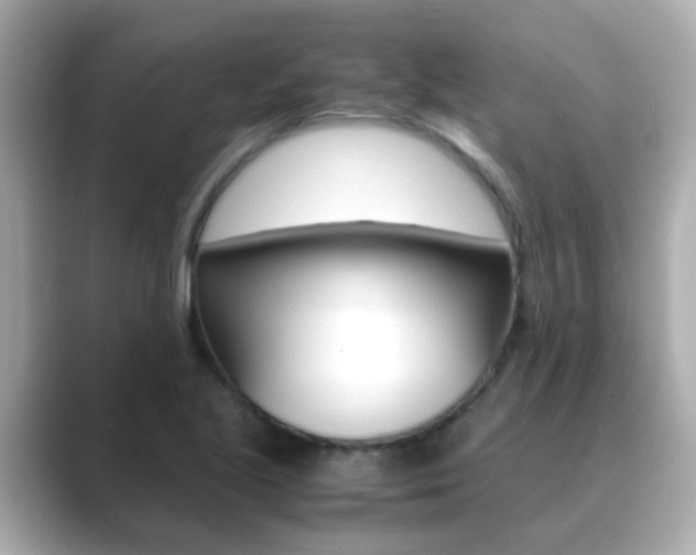 X0000089691221200706210827