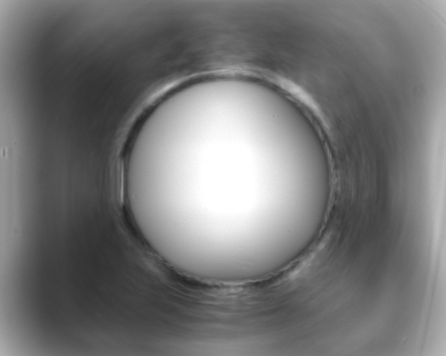 X0000089691223200706210827