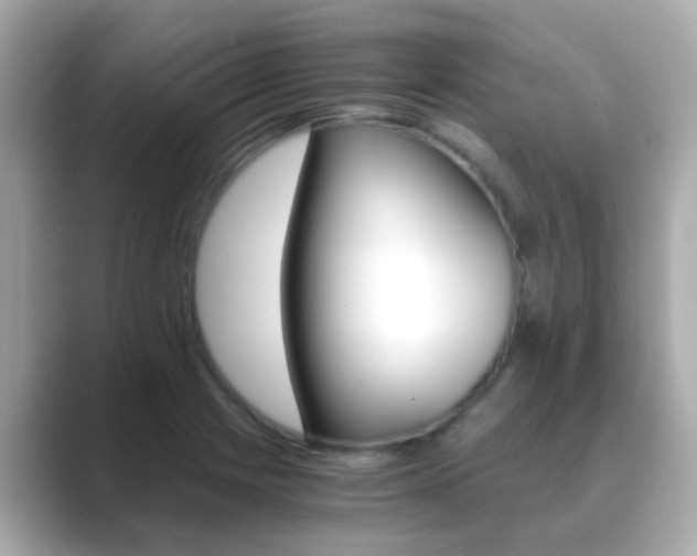 X0000089691225200706210827