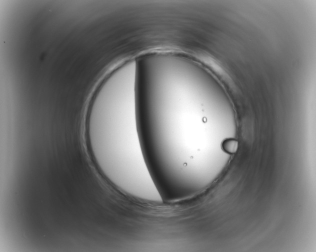 X0000089691229200706210827