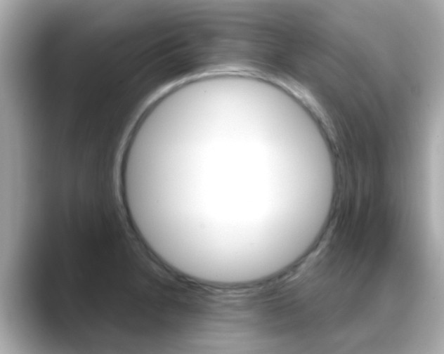 X0000089691230200706210827