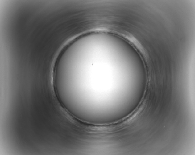 X0000089691232200706210827