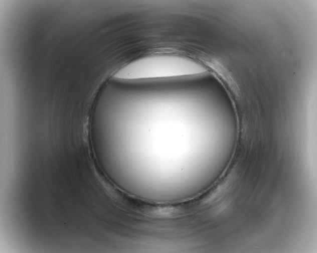 X0000089691233200706210827