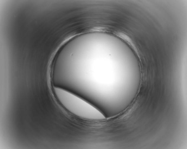 X0000089691235200706210827