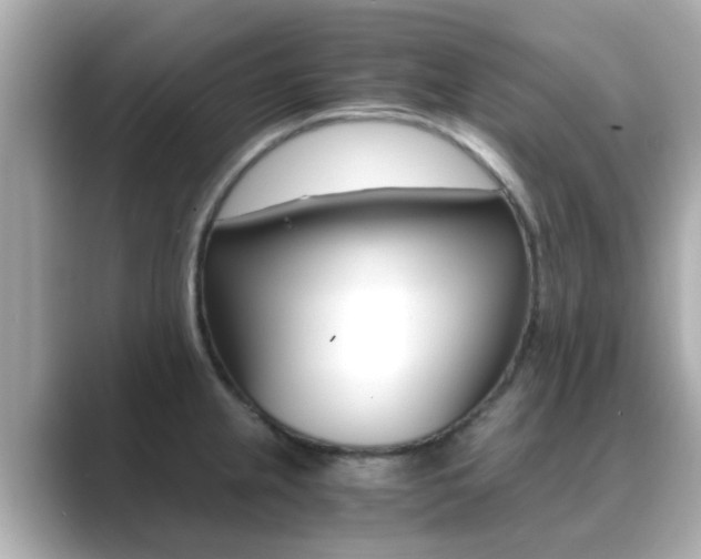 X0000089691237200706210827