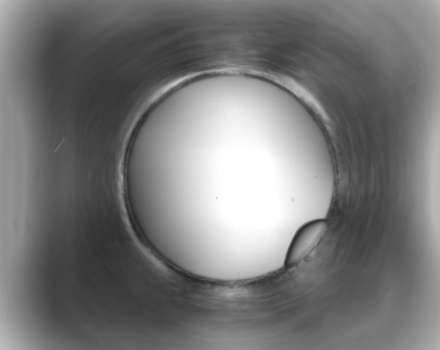 X0000089691239200706210827