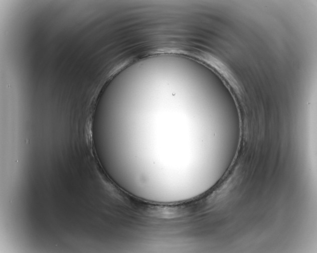 X0000089691241200706210828