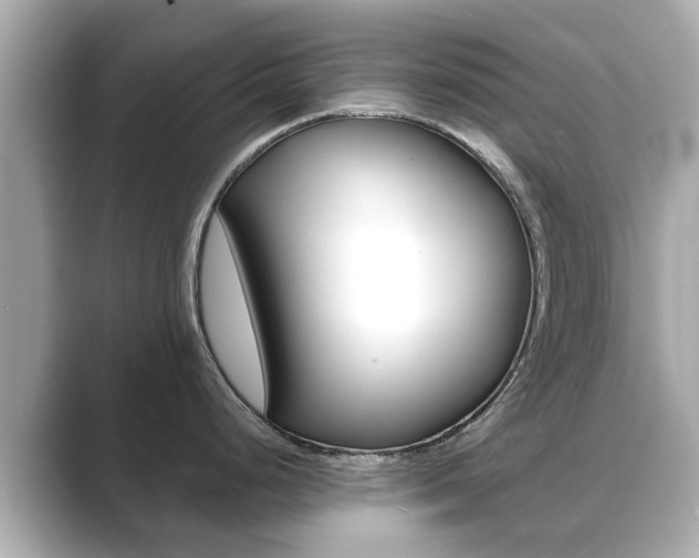 X0000089691248200706210828