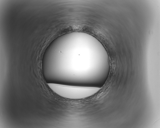 X0000089691249200706210827