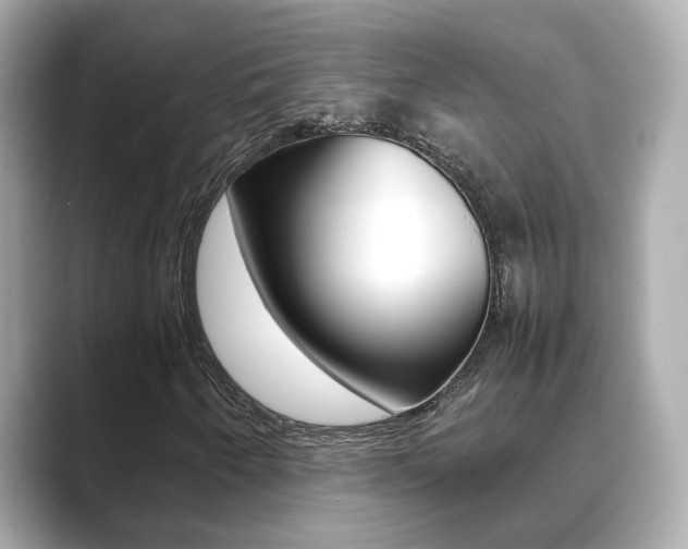 X0000089691250200706210827