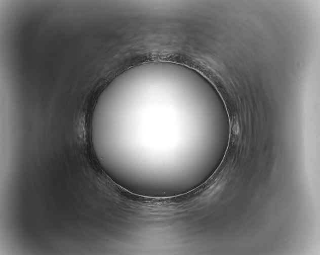 X0000089691252200706210827