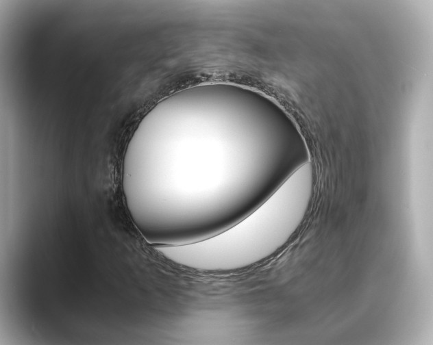 X0000089691253200706210827