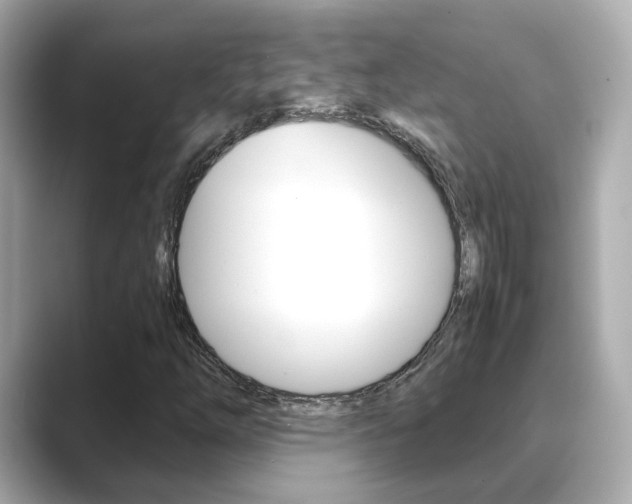 X0000089691254200706210827