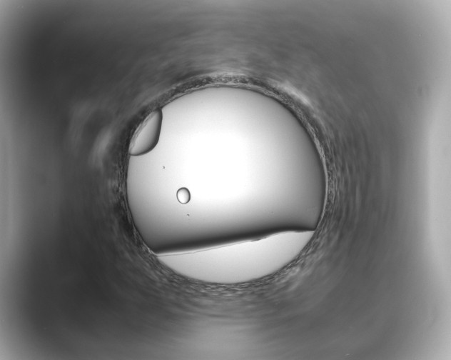 X0000089691255200706210827