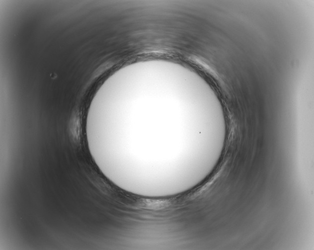 X0000089691258200706210827