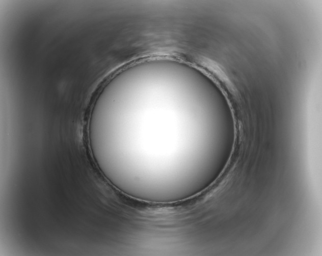 X0000089691260200706210827