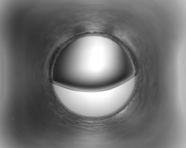 X0000089691261200706210827