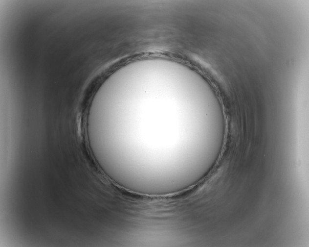 X0000089691262200706210827