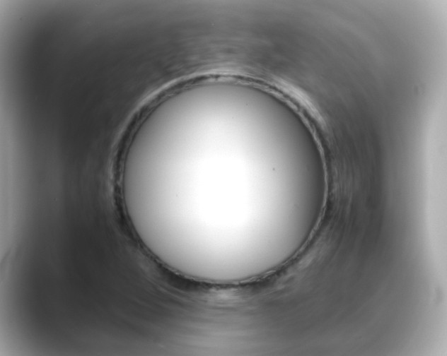 X0000089691264200706210827