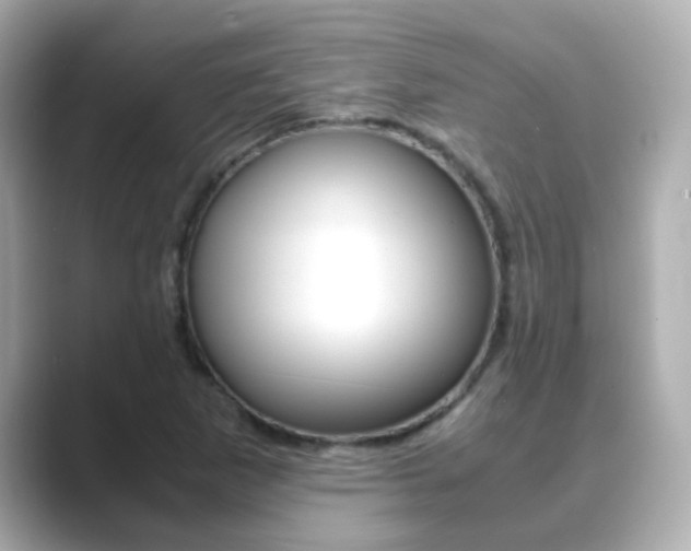 X0000089691265200706210827