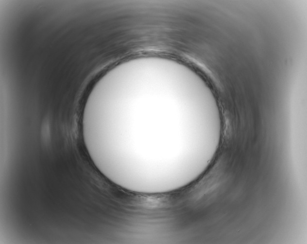 X0000089691266200706210827