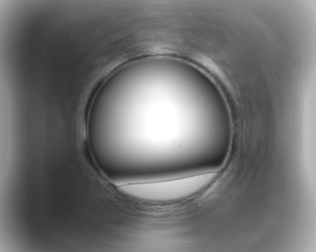 X0000089691269200706210827