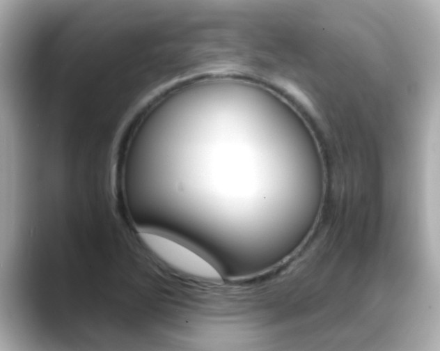 X0000089691270200706210827