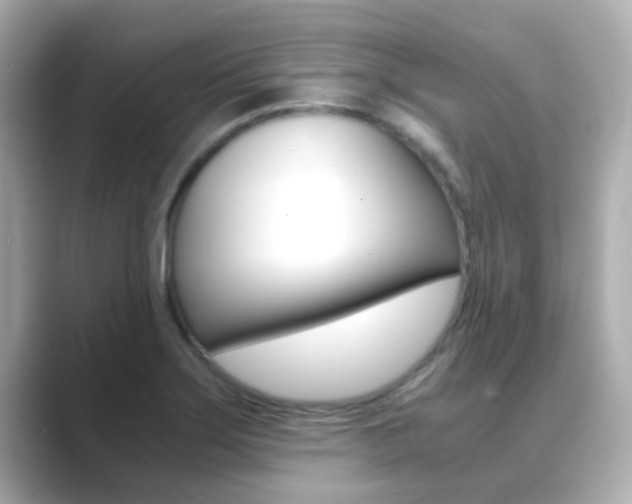 X0000089691275200706210827