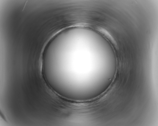 X0000089691276200706210827