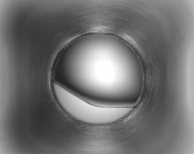 X0000089691277200706210827
