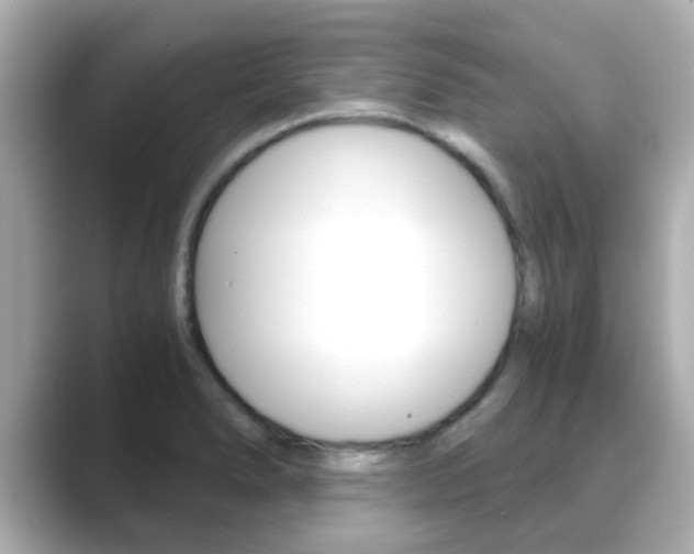 X0000089691278200706210827