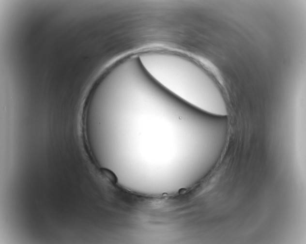 X0000089691279200706210827