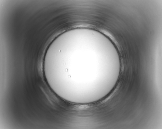 X0000089691282200706210827