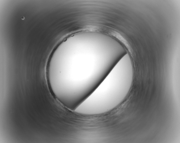 X0000089691283200706210827