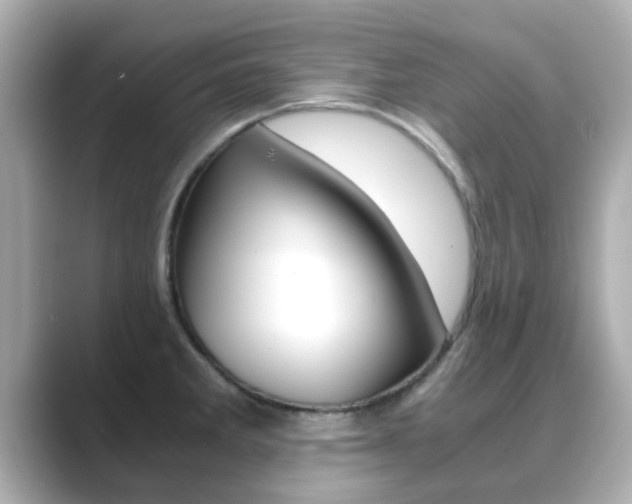 X0000089691285200706210827