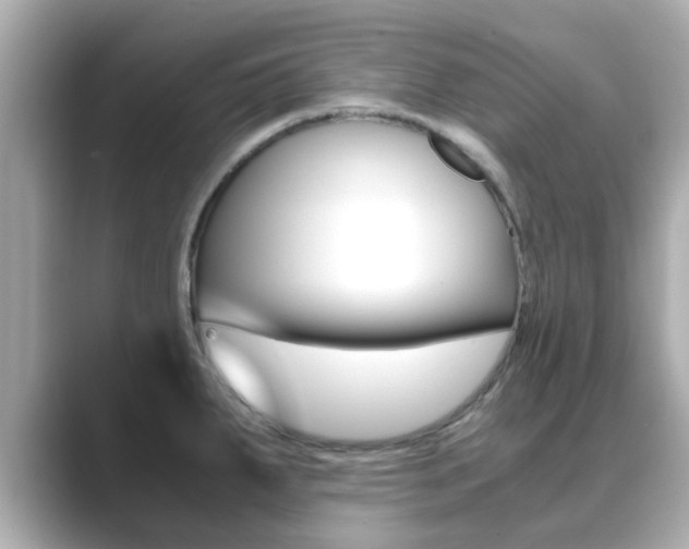 X0000089691287200706210826