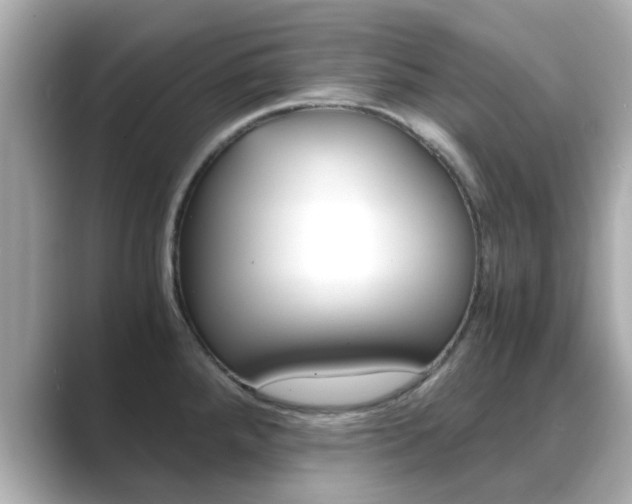 X0000089691288200706210826