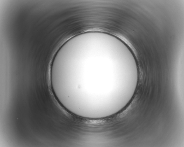 X0000089691290200706210826