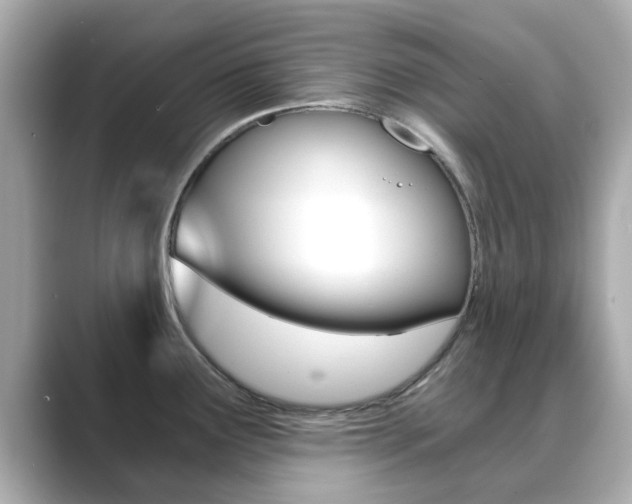 X0000089691291200706210826