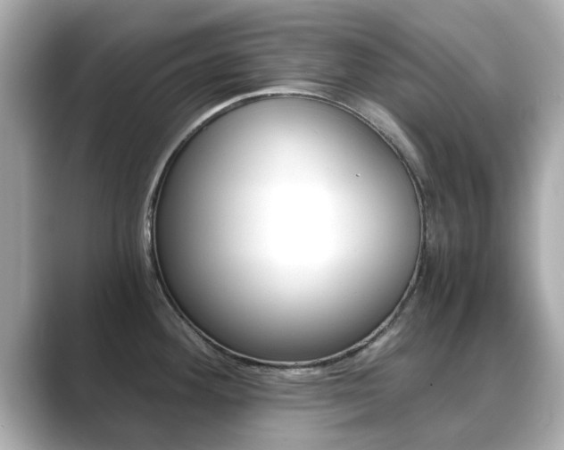 X0000089691292200706210826