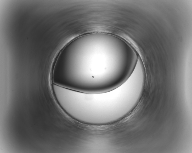 X0000089691293200706210826