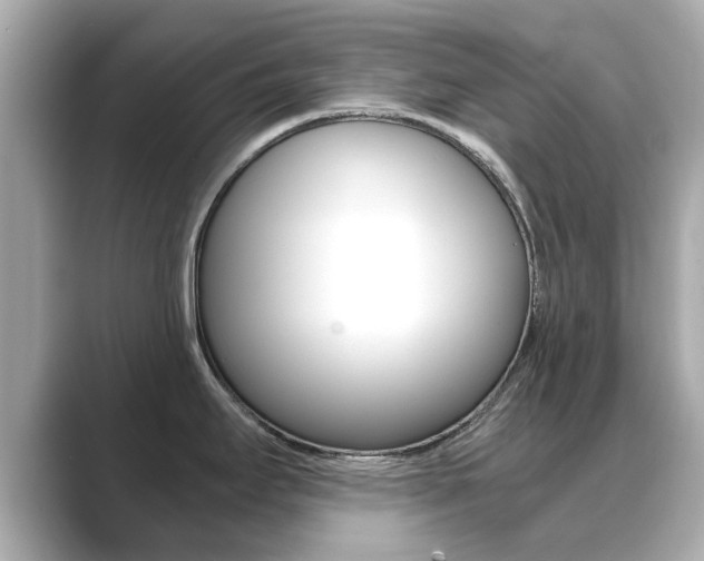 X0000089691295200706210826