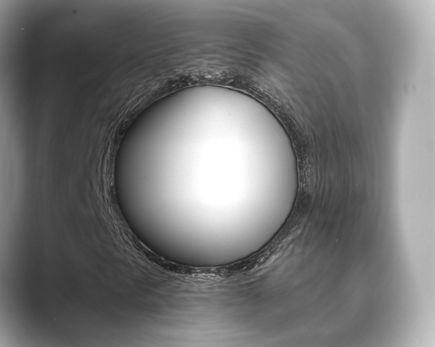 X0000089691297200706210826