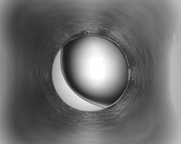 X0000089691298200706210826